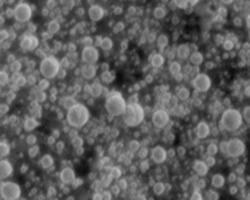 MAR’VINA® i-NAFLECS®