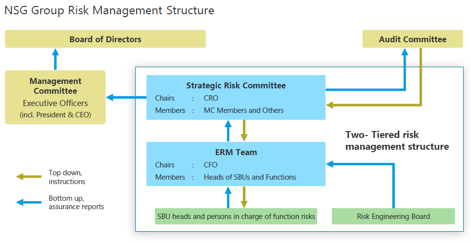 NSG Group Risk Management Structure