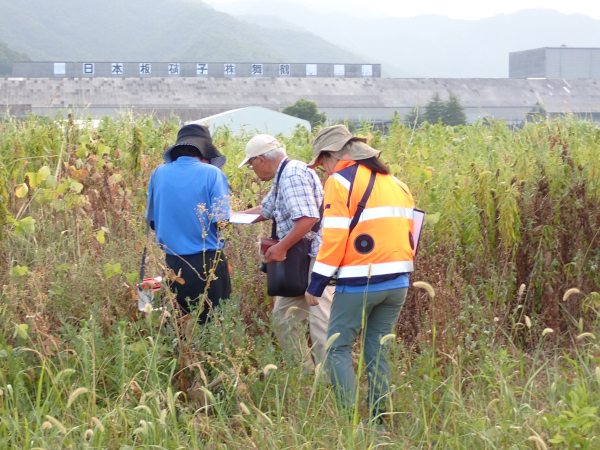 Biodiversity survey at the Maizuru site
