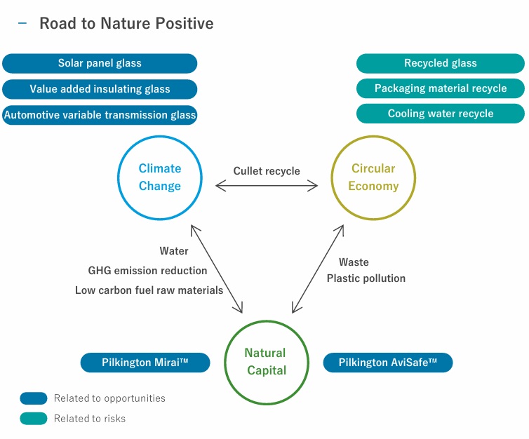 Road to Nature positive