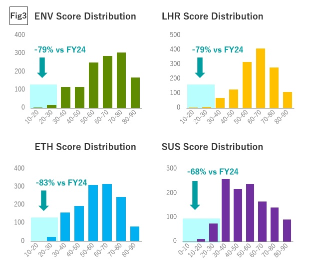 scores by category for the key EcoVadis themes
